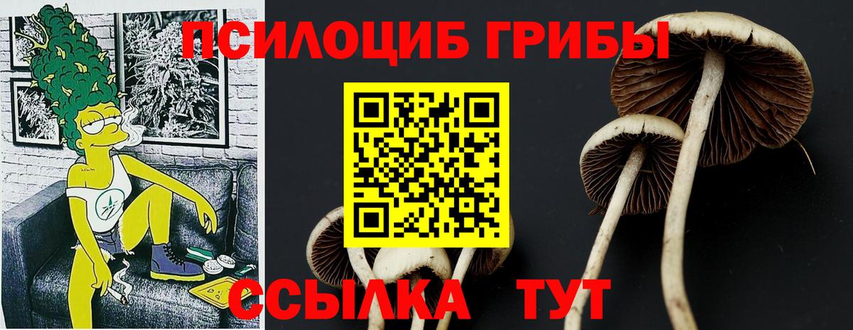 Галлюциногенные грибы Cubensis  Вход с VPN  Саки 
