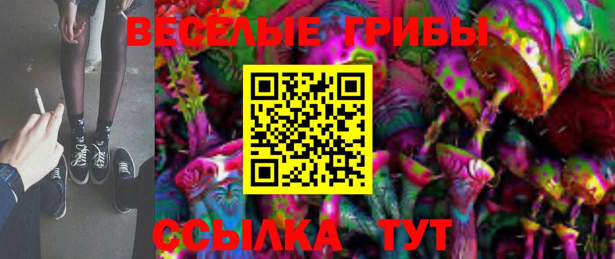 Псилоцибиновые грибы прущие грибы Саки